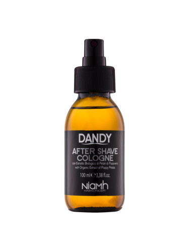 DANDY After Shave афтършейв 100 мл.