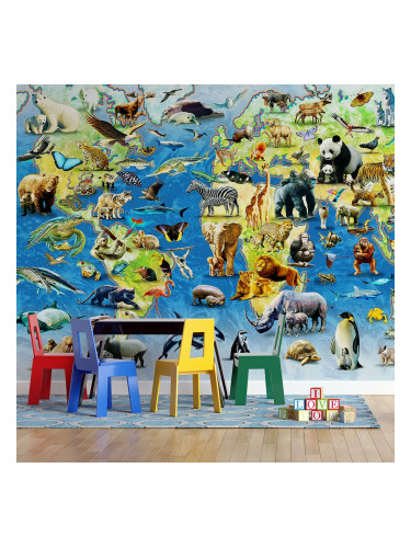 Фототапет около света