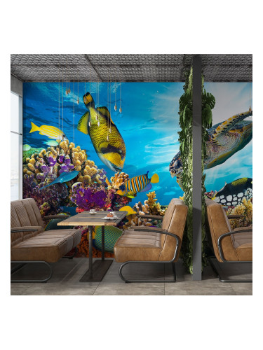 Фототапет подводен свят 2