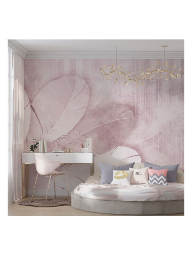 Фототапет шарени пера