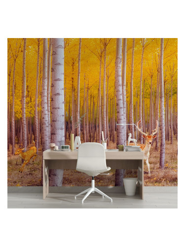 Фототапет есенна брезова гора