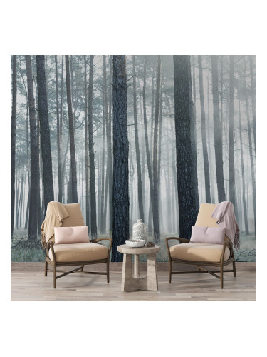 Фототапет Лъчи в мъглата