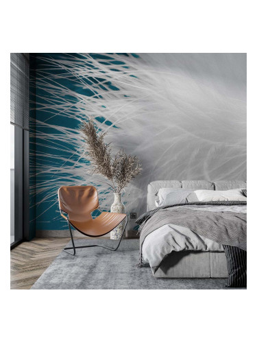 Фототапет Нежен пух