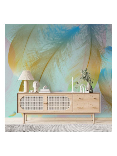 Фототапет Цветни пера