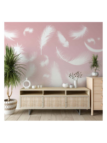 Фототапет Пух 2