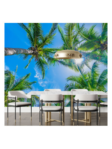 Фототапет Палми