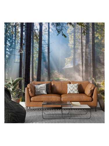 Фототапет Горска къщичка