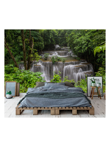 Фототапет Водопад в гората 2