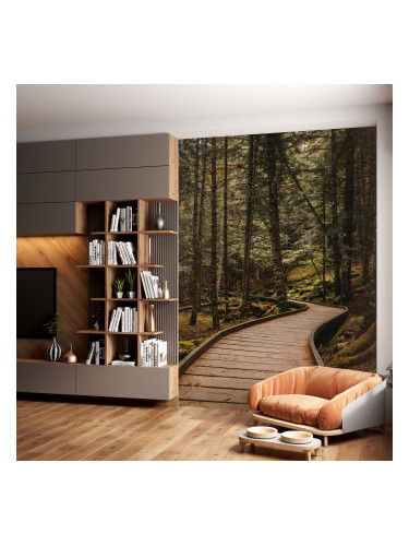 Фототапет Пътека в гората