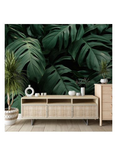 Фототапет Ботаника