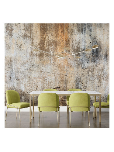 Фототапет Стара стена