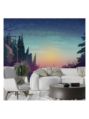 Фототапет Звезден залез