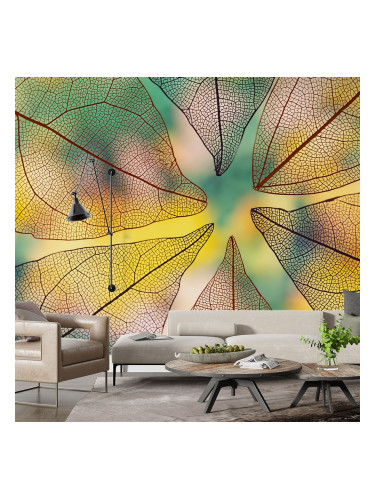 Фототапет Амаранте