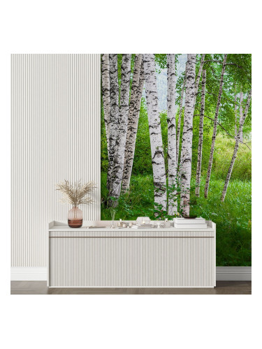 Фототапет Брезова гора 3