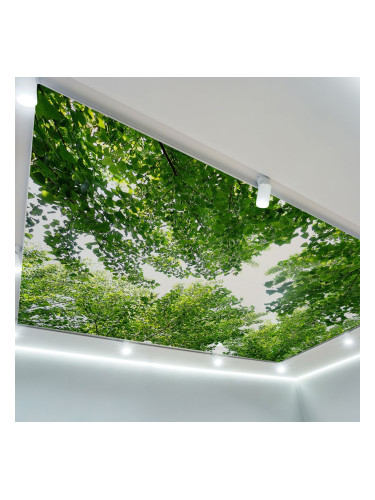 Фототапет за таван Зелени клони