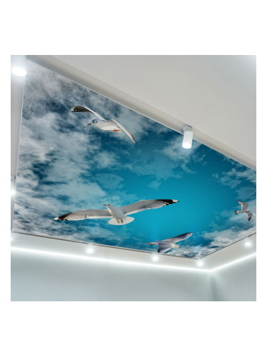 Фототапет за таван Гларуси в небето