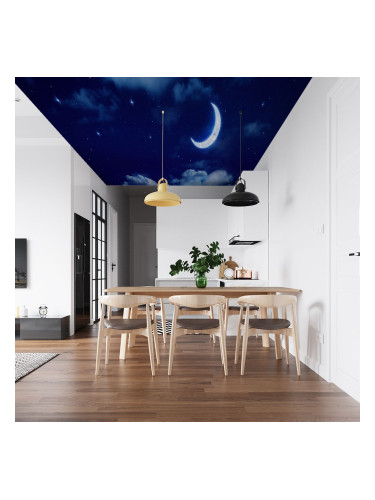 Фототапет за таван Нощно небе