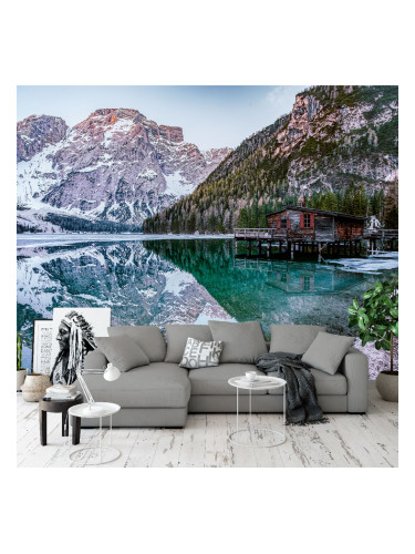 Фототапет Вила в планината