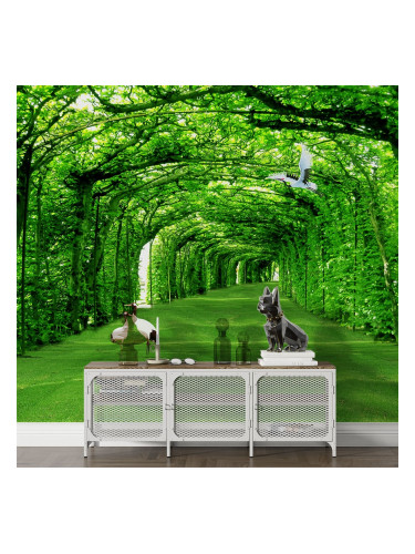 Фототапет Тунел от клони