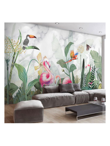 Фототапет Екзотични птици