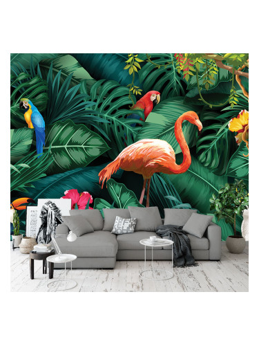 Фототапет - Тропически птици