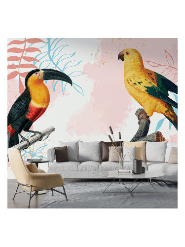 Фототапет - Тукан и папагал