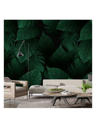 Фототапет - Тъмнозелени листа