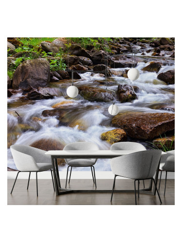 Фототапет - Горска река