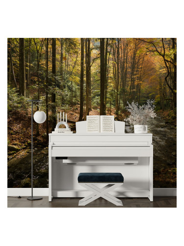 Фототапет - Есенна горска пътека