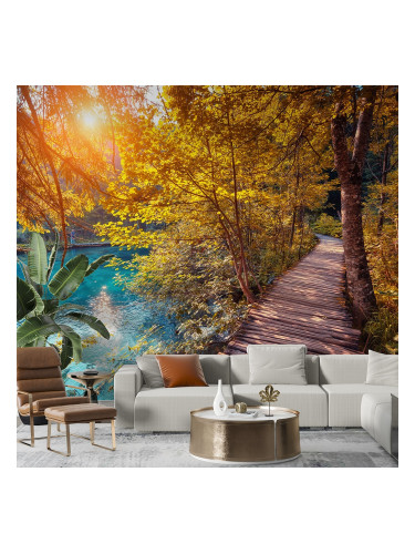 Фототапет - Пътека край реката