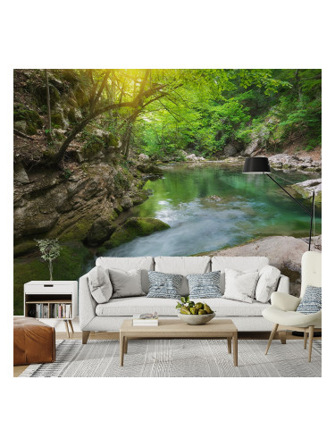 Фототапет - Горско езеро