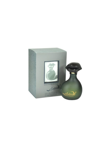 Salvador Dali Pour Homme тоалетна вода за мъже 100 мл.