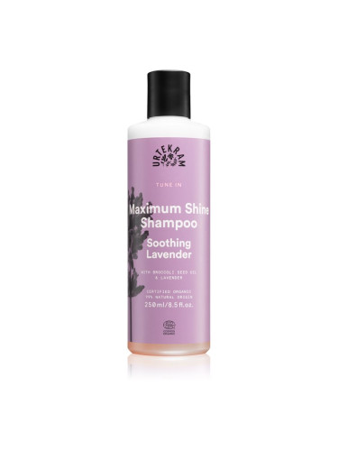 Urtekram Soothing Lavender успокояващ шампоан за блясък и мекота на косата 250 мл.
