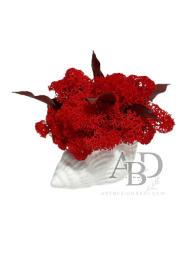 Скандинавски мъх с бръшлян в малка раковина