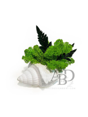 Морска гора, скандинавски мъх със стабилизирани папрати в керамична раковина