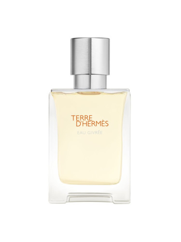 HERMÈS Terre d’Hermès Eau Givrée парфюмна вода за мъже 50 мл.