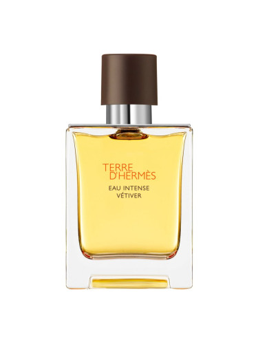 HERMÈS Terre d’Hermès Eau Intense Vétiver парфюмна вода за мъже 50 мл.