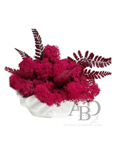 Скандинавски мъх в шепа нежност