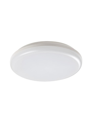 Rabalux 7979 - LED Екстериорна Лампа за таван ERIC LED/24W/230V IP64