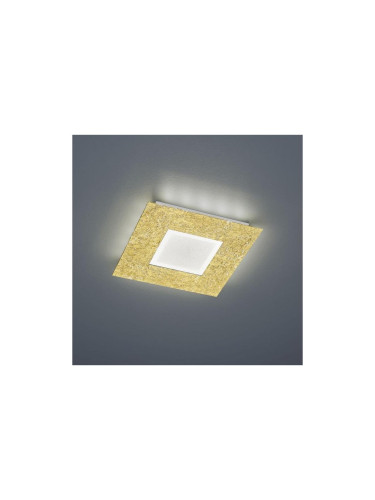 Trio - LED Лампа за таван CHIROS LED/12W/230V + LED/3,5W