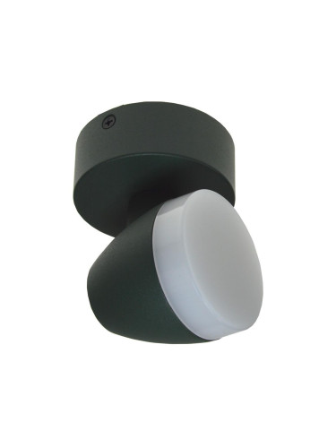 LED Лампа за таван SURMUR LED/6W/230V зелена