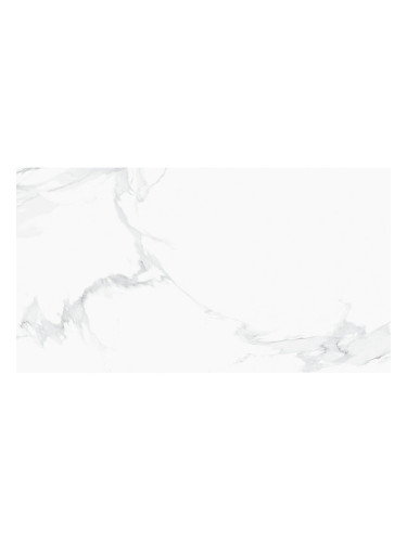 Гранитогрес Bella Bianco 50X100 см