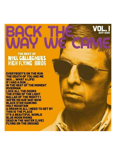 Noel Gallagher - Back The Way We Came Vol. 1 (Box Set) (4 LP + 7" Vinyl + 3 CD)