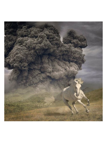 The White Buffalo - Year Of The Dark Horse (LP)