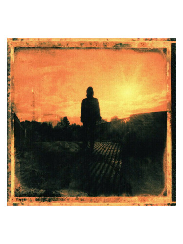 Steven Wilson - Grace For Drowning (2 LP)