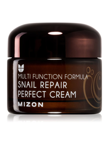 Mizon Multi Function Formula  Snail крем за лице  с филтрат на охлювен секрет 60% 50 мл.
