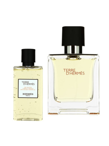 Hermès Terre d'Hermes Комплект за мъже EDT Tоалетна вода 100 ml Душ гел 80 ml