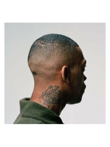 Wiley - 100 % Publishing (Limited Edition) (2 LP)