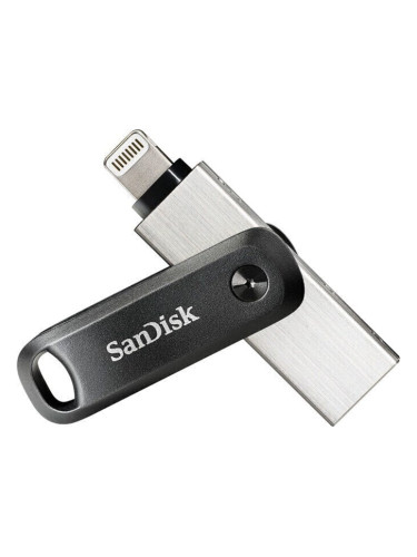 SanDisk iXpand Go SDIX60N-256G-GN6NE USB ключ 256 GB