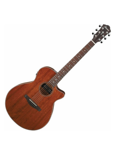 Ibanez AEG220-LGS Natural Електро-акустична китара Джъмбо